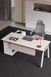 EXLIVO Modern Wooden Executive Desk