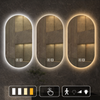 LUMERA Modern Glass Bathroom Mirror